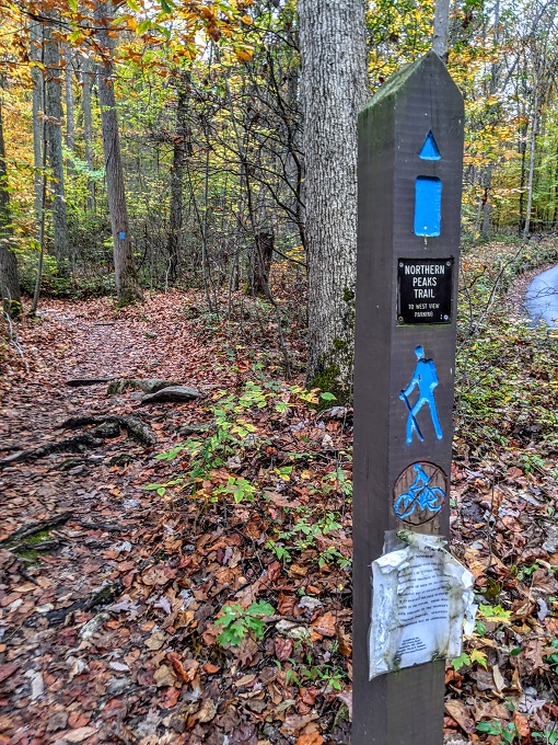 Northern Peaks Trail, Sugarloaf Mountain, MD - Rejoin the trail through the forest