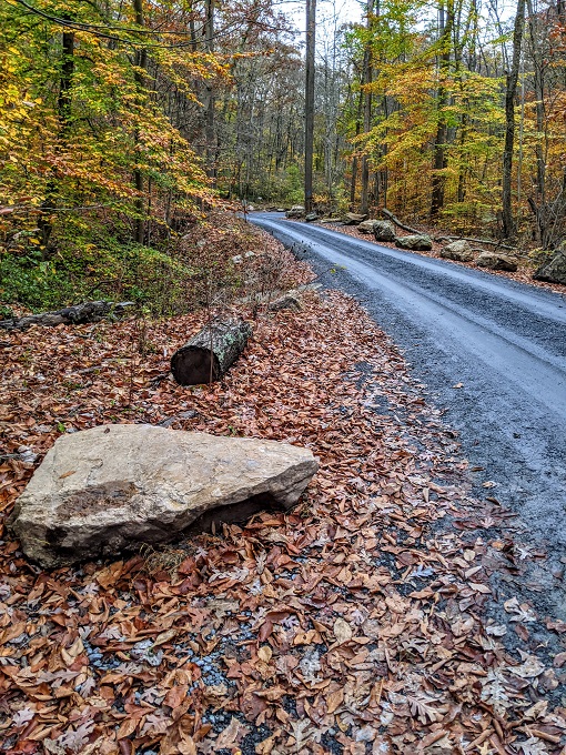 Northern Peaks Trail, Sugarloaf Mountain, MD - Take the road up to the left