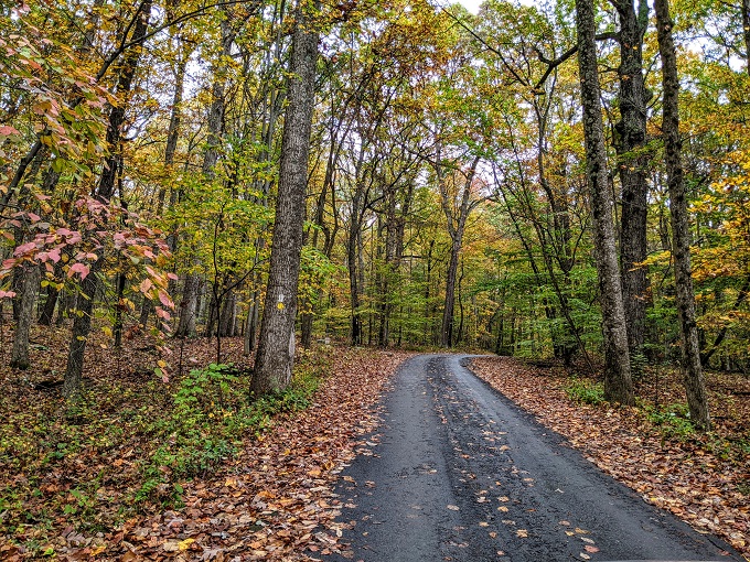Road leading up to Sugarloaf Mountain, Maryland