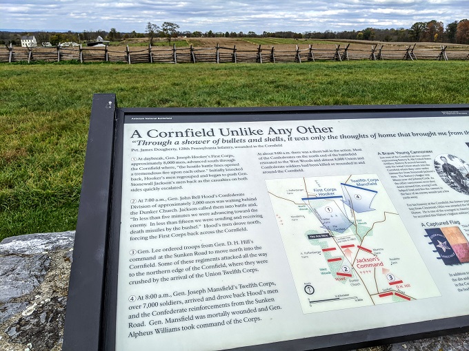 Antietam National Battlefield - Cornfield at Tour Stop 4