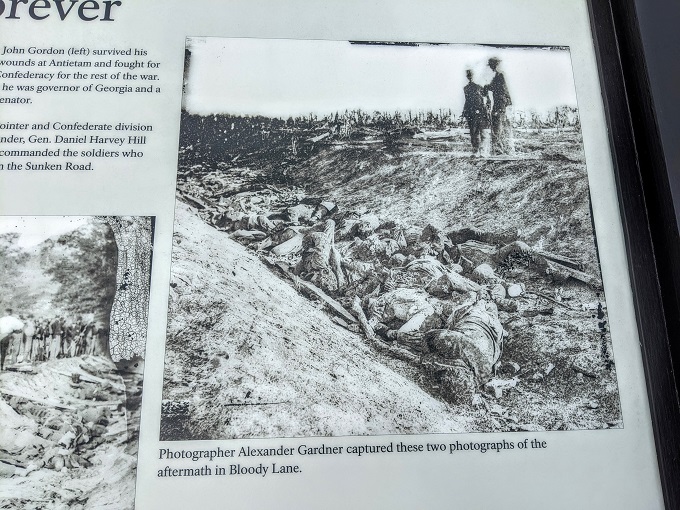 Antietam National Battlefield - Photograph of Bloody Lane after the battle