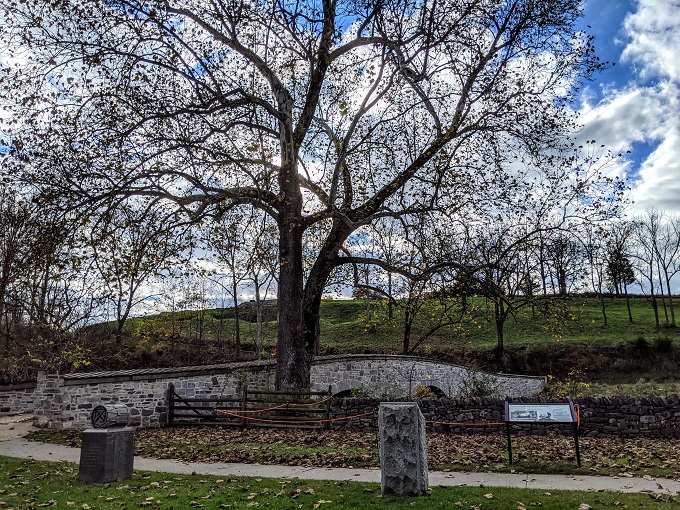 Antietam National Battlefield - What the Burnside Sycamore looks like now