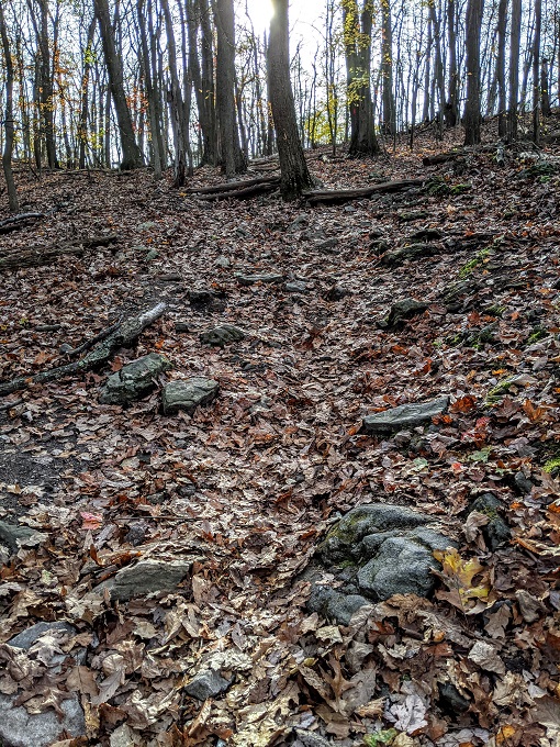 Chimney Rock & Wolf Rock Trails - A steep approach to Chimney Rock