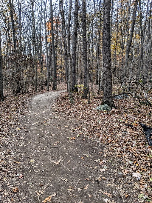 Chimney Rock & Wolf Rock Trails - Another flat part of the trail