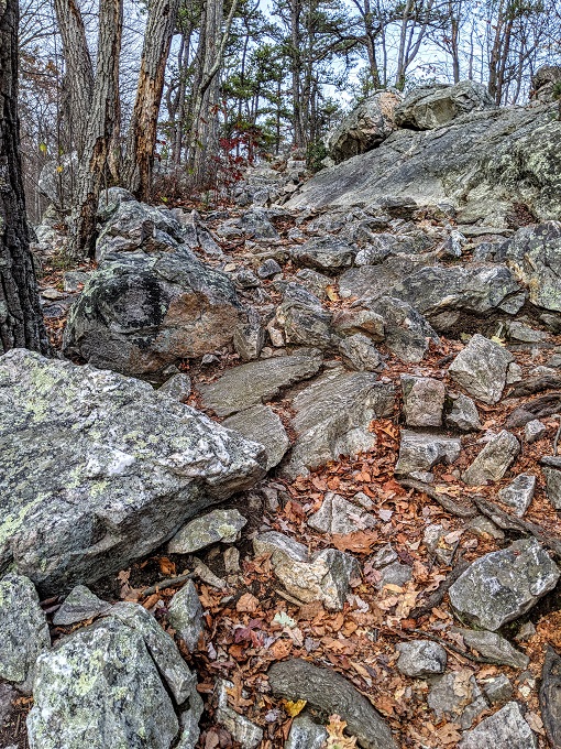 Chimney Rock & Wolf Rock Trails - Climbing up on to Wolf Rock