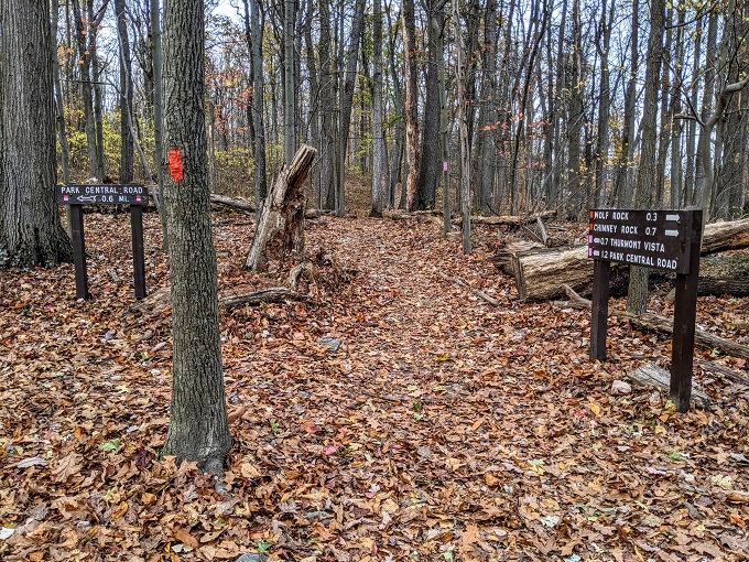 Chimney Rock & Wolf Rock Trails - Continue following the red trail blazes