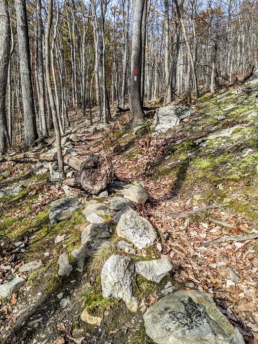 Chimney Rock & Wolf Rock Trails - Continue uphill