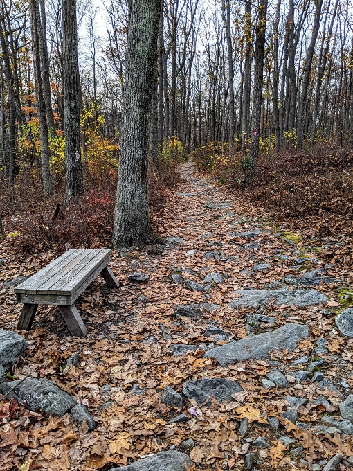 Chimney Rock & Wolf Rock Trails - Seating area