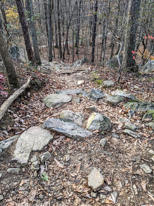 Chimney Rock & Wolf Rock Trails - Start heading downhill