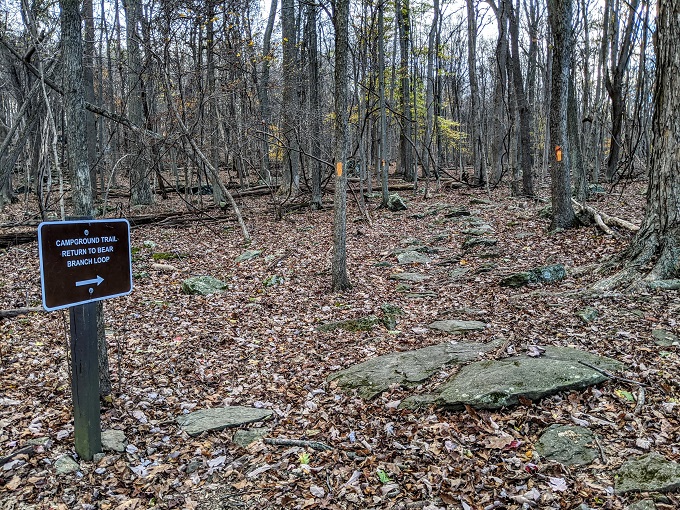 Cunningham Falls State Park - Cliff Trail and Campground Trail meeting