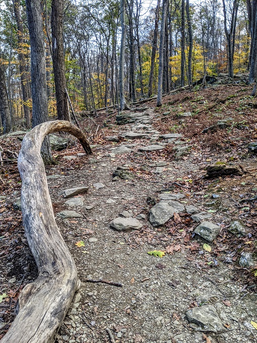 Cunningham Falls State Park - Cliff Trail