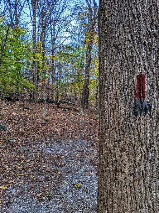 Cunningham Falls State Park - Follow the red trail blazes