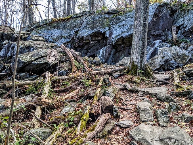 Cunningham Falls State Park - Follow the trail up here