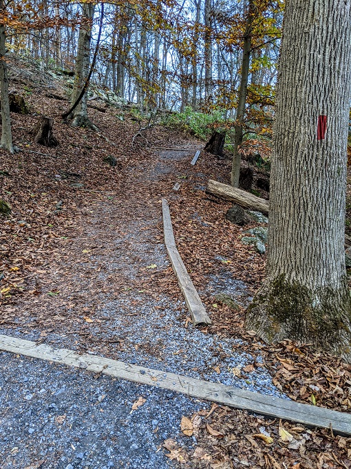 Cunningham Falls State Park - Keep following the trail