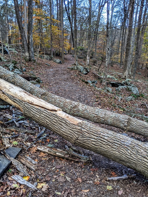 Cunningham Falls State Park - Trail blockage