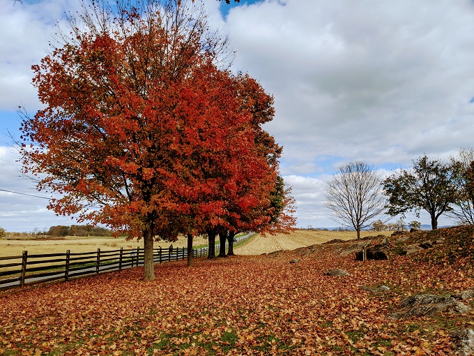 Fall at Antietam National Battlefield