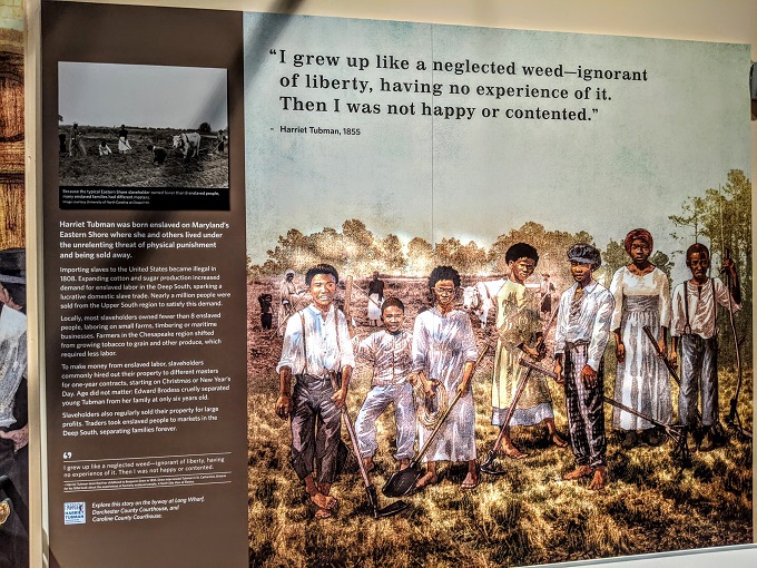 Harriet Tubman Underground Railroad National Historical Park - Harriet Tubman's family history
