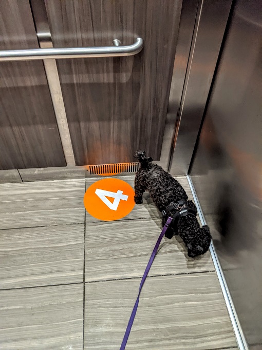 Hyatt Place Ocean City - Social distancing sticker in the elevator