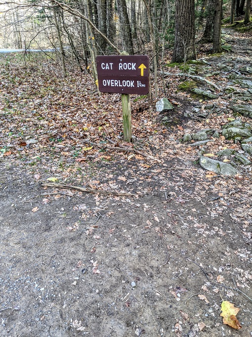 Wolf Rock & Chimney Rock Trail - Cat Rock Trail