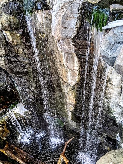 National Aquarium in Baltimore, MD - Maryland waterfall from above
