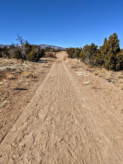 Dirt road on the North Kwage Mesa trail