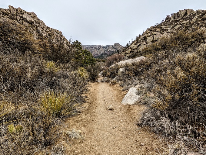 Domingo Baca-TWA Canyon Hike – 03/15/2015 - Hiking in New Mexico