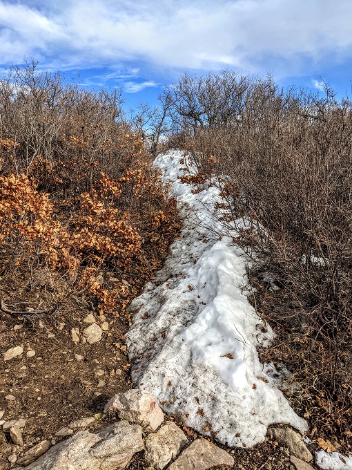 Path leading up to connecting trails