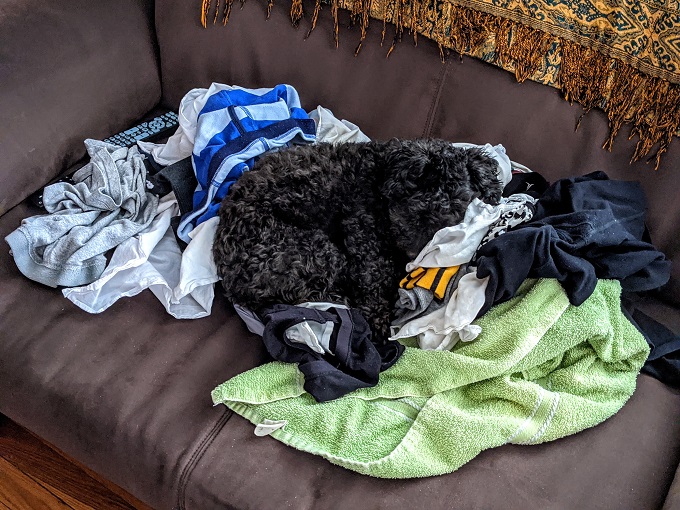 Truffles on laundry