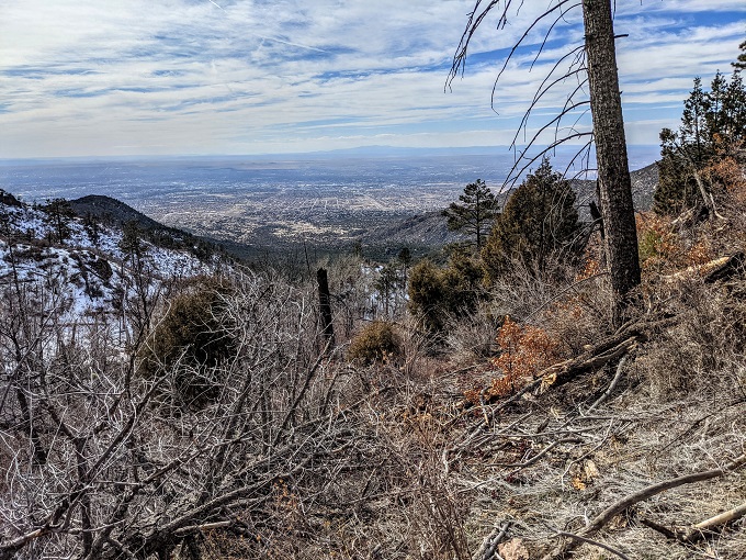 View of Albuquerque from the Pino Trail
