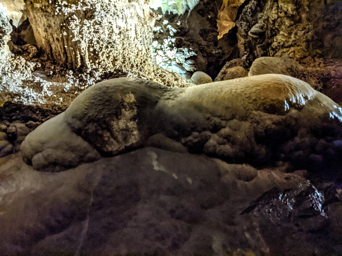 Carlsbad Caverns National Park - Snoopy sleeping