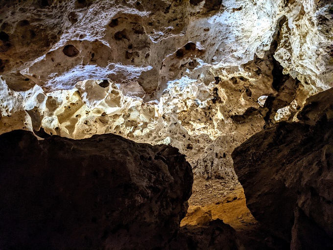 Carlsbad Caverns National Park - Spongework rock formation
