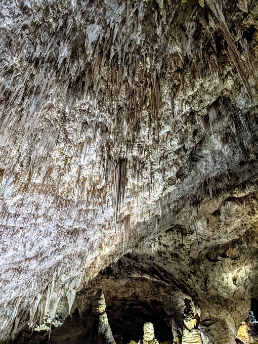 Carlsbad Caverns National Park - Stalactites above Fairyland