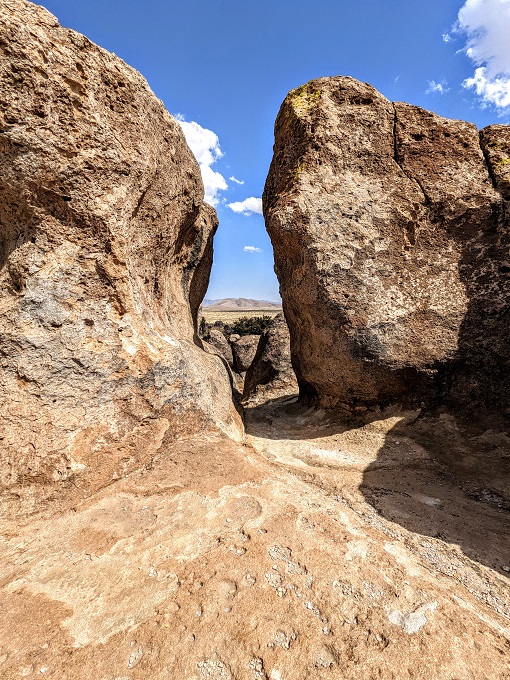 are dogs allowed at city of rocks