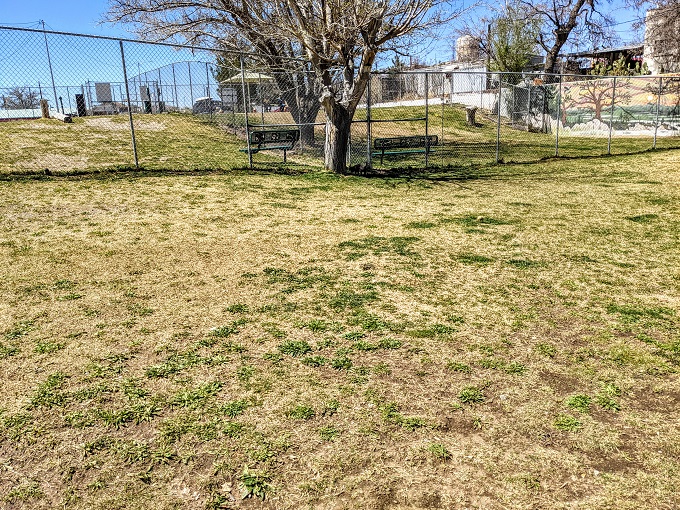 Dog park at Ralph Edwards Park in Truth or Consequences, NM