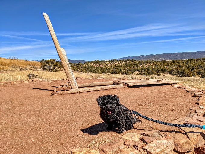 Pecos National Historical Park - Truffles waiting patiently