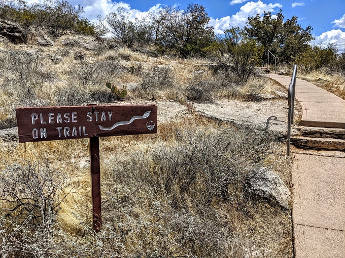 Beware of snakes (seriously!)