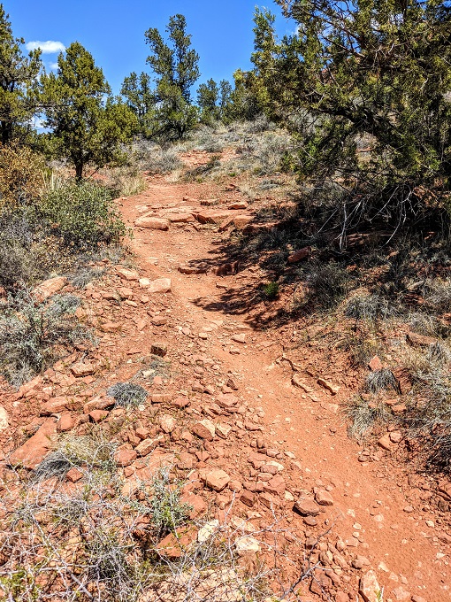 Lizardhead Trail