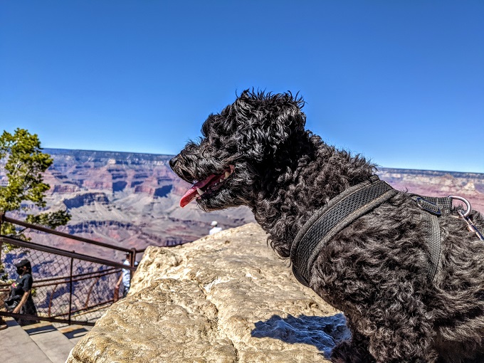 Truffles at the Grand Canyon