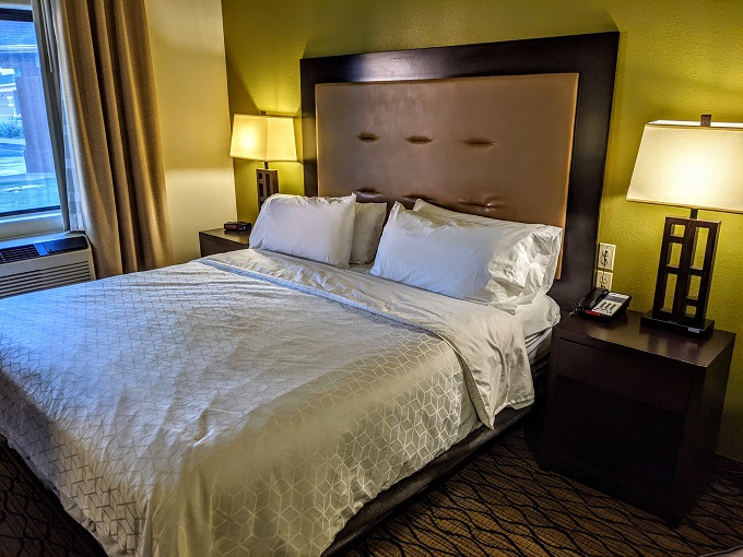 Holiday Inn Express & Suites Montrose, CO - King bed