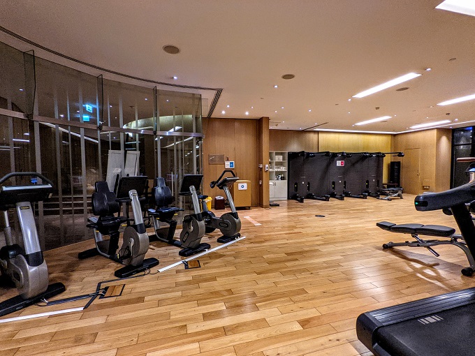 Grand Hyatt Dubai - Fitness room 1