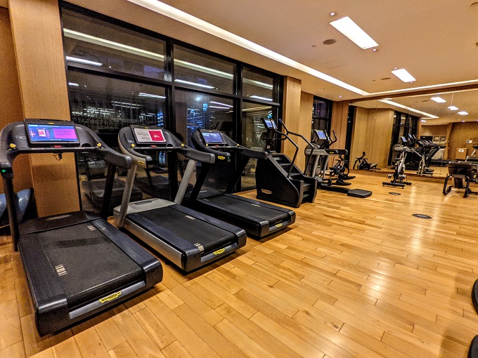 Grand Hyatt Dubai - Fitness room 2