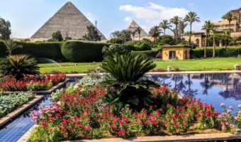 Marriott Mena House, Cairo, Egypt - View of the Pyramids of Giza from 139 Restaurant