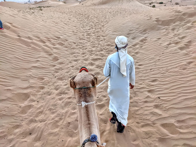 OceanAir Travels Desert Safari - Camel ride