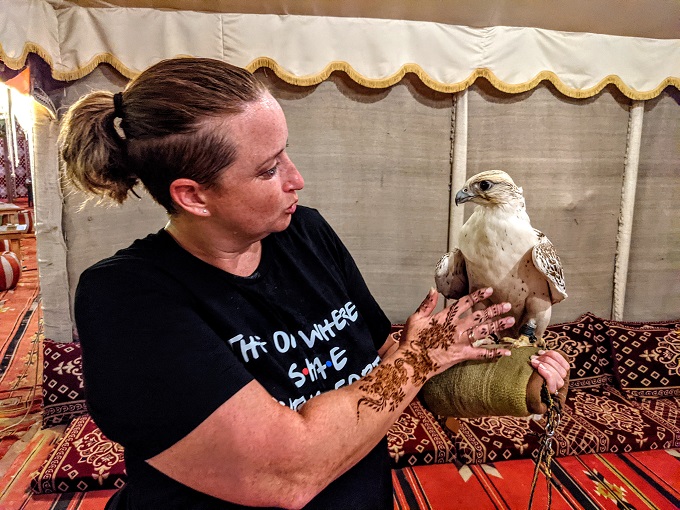 OceanAir Travels Desert Safari - Falcon holding & petting