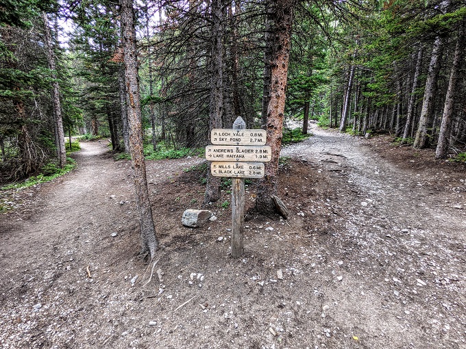 Rocky Mountain National Park - Take the left trail to Mills Lake