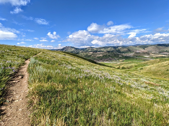Summit Loop trail at William F Hayden Green Mountain Park in Denver, CO