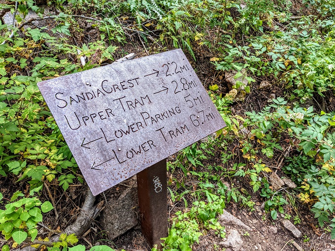 Trail marker on the La Luz trail