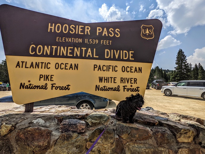 Truffles at Hoosier Pass