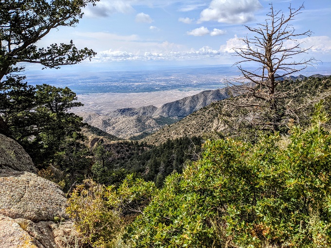 View out over Albuquerque