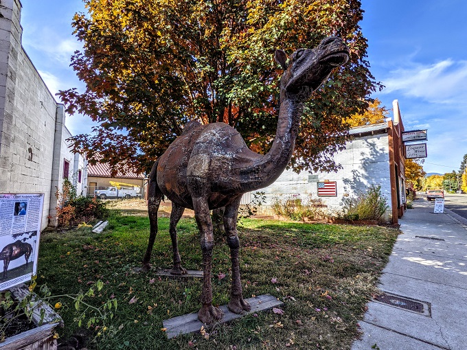 Camel sculpture in Halfway, OR